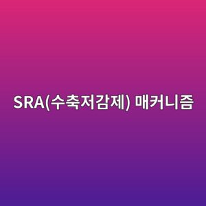 Autogenous Shrinkage(자기수축) 제어를 위한 SRA(수축저감제) 매커니즘 2 sraec8898ecb695eca080eab090eca09c eba7a4ecbba4eb8b88eca698 1786628886