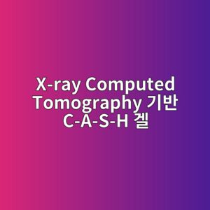 X-ray Computed Tomography 기반 C-A-S-H 겔의 미세공극 세공구조 3D 재구성 및 물성 예측 4 x ray computed tomography eab8b0ebb098 c a s h eab294 1787107273