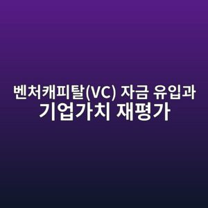 그래핀 융합 구조 보강재 생산 기업의 벤처캐피탈(VC) 자금 유입과 기업가치 재평가(Re-rating 5 ebb2a4ecb298ecba90ed94bced8388vc ec9e90eab888 ec9ca0ec9e85eab3bc eab8b0ec9785eab080ecb998 ec9eaced8f89eab080 1792843588